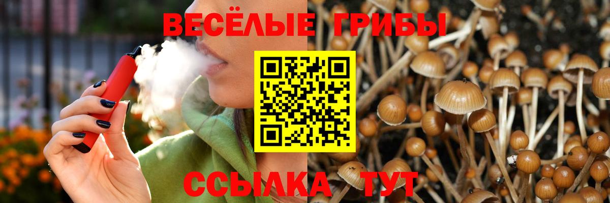 Галлюциногенные грибы прущие грибы  Вход с VPN  как найти наркотики  Зерноград 
